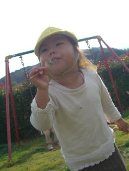 Cimg2417_2