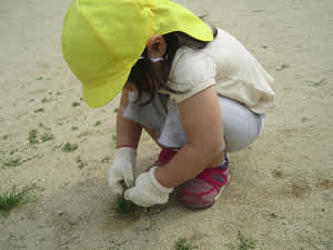 Resize6839 Resize6839