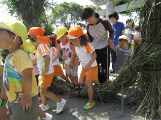 Img_0641 Img_0641