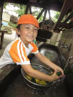 Img_0849 Img_0849