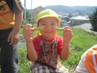 Img_2007 Img_2007