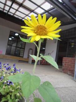 Img_1466 Img_1466