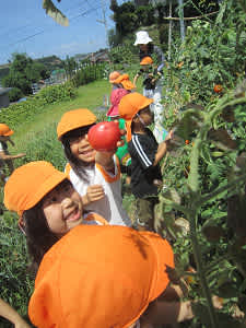 Resize1372 Resize1372