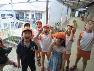 Img_3159 Img_3159