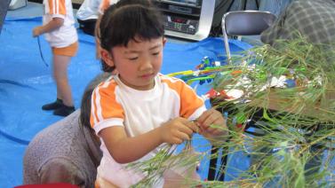 Img_3141 Img_3141