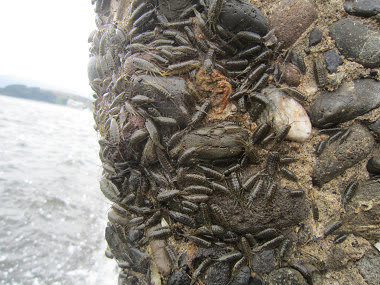 Resize2537 Resize2537