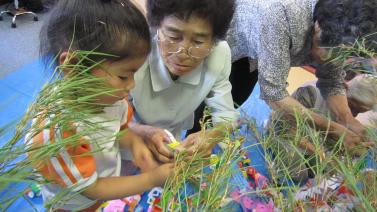Img_3140 Img_3140