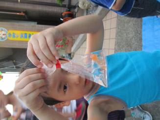 Img_0471 Img_0471