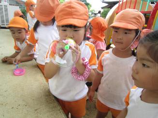 Img_01272 Img_01272