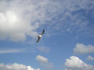 Cimg0671