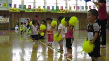 Img_3042 Img_3042