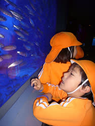 Resize5513 Resize5513