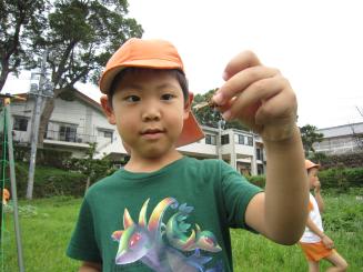 Img_3158 Img_3158