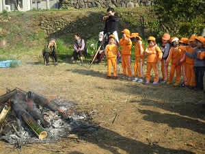 Resize4930 Resize4930