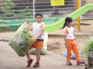 Img_2595 Img_2595