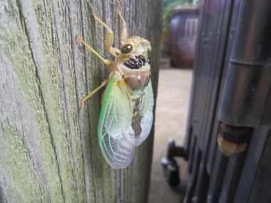 Resize1292 Resize1292