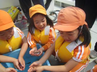 Img_3690_2 Img_3690_2