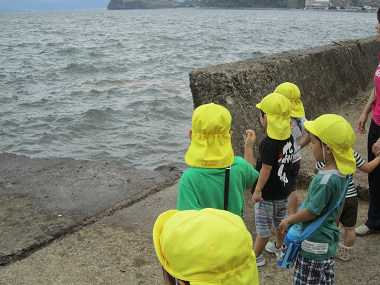 Resize2535 Resize2535