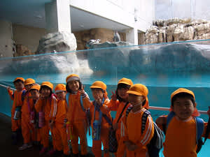 Resize5517 Resize5517