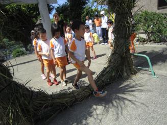 Img_0632 Img_0632