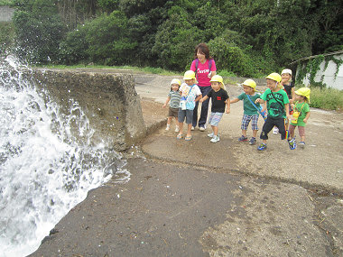 Resize2536 Resize2536