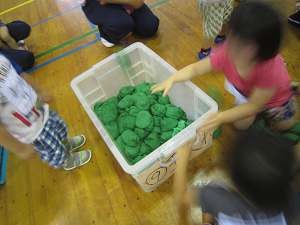 Resize7735_3 Resize7735_3