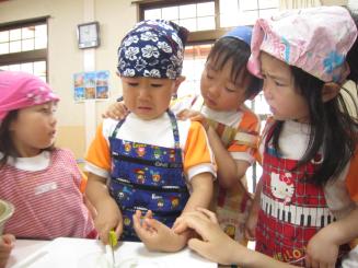 Img_2667 Img_2667