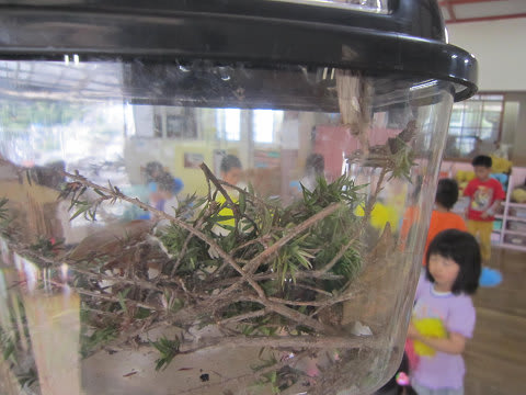 Resize0096 Resize0096