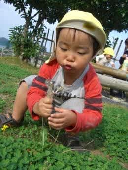 Cimg2410_2
