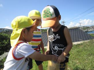 Img_1120 Img_1120