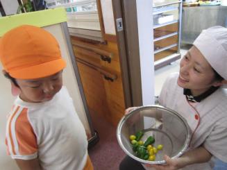 Img_1284 Img_1284