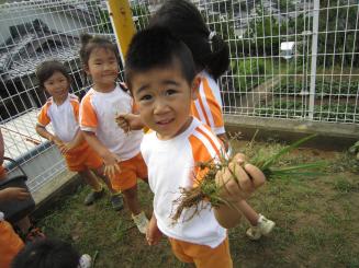 Img_1165 Img_1165