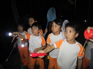 Img_0890 Img_0890