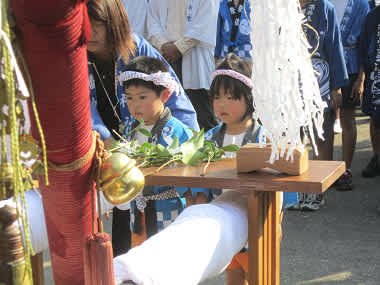 Resize3246 Resize3246