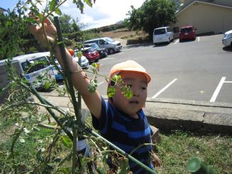 Img_1118 Img_1118