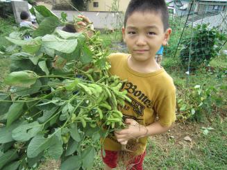 Img_1795 Img_1795