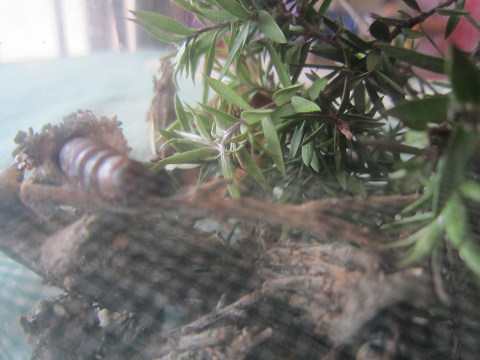 Resize0098 Resize0098