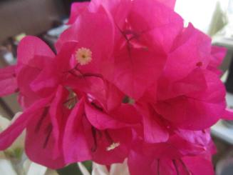 Img_2027 Img_2027