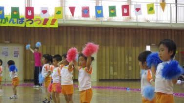 Img_3055 Img_3055
