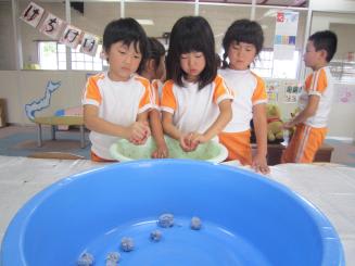 Img_1502 Img_1502