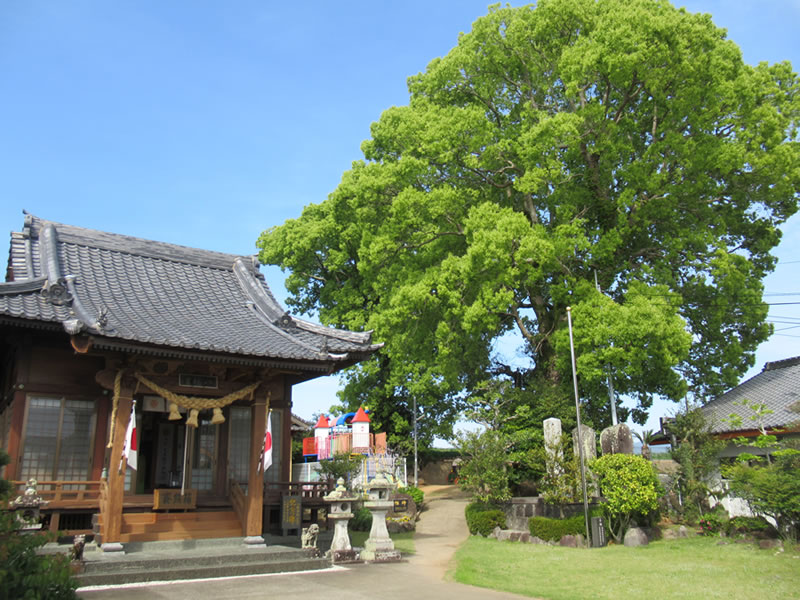 八幡神社